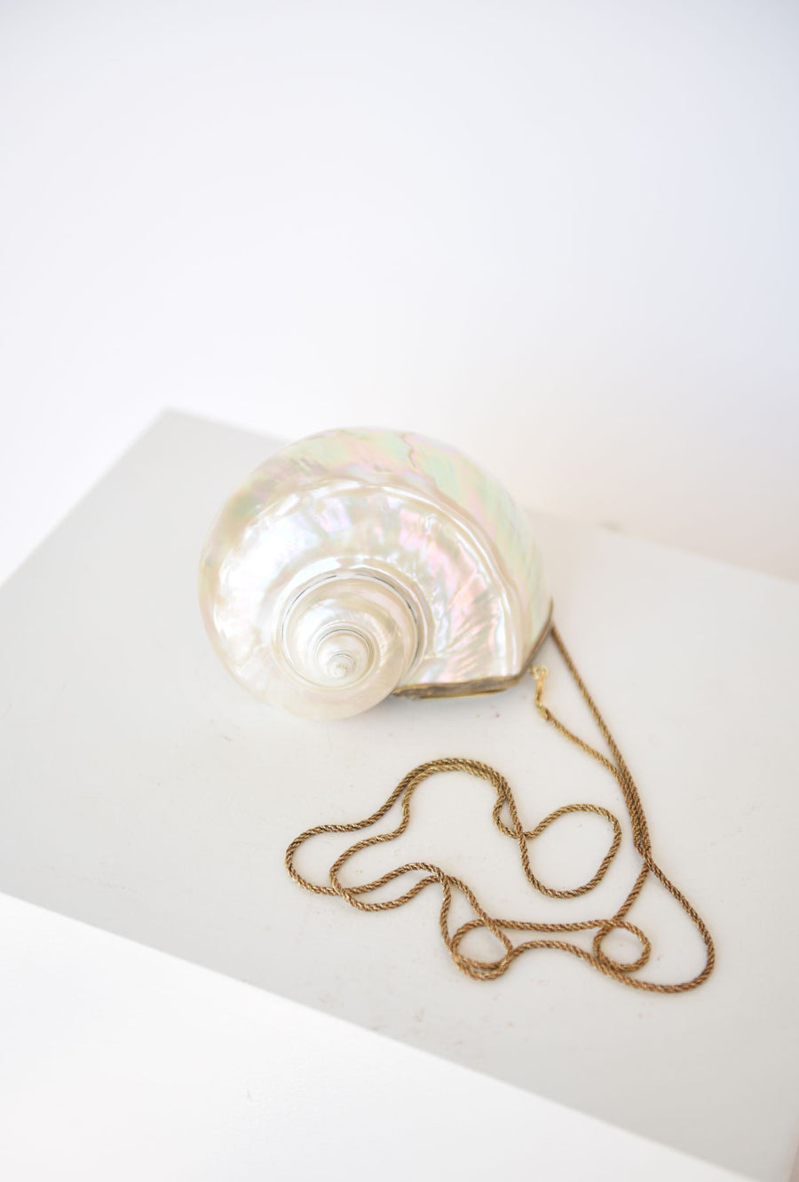 Vintage Nautilus Shell Purse