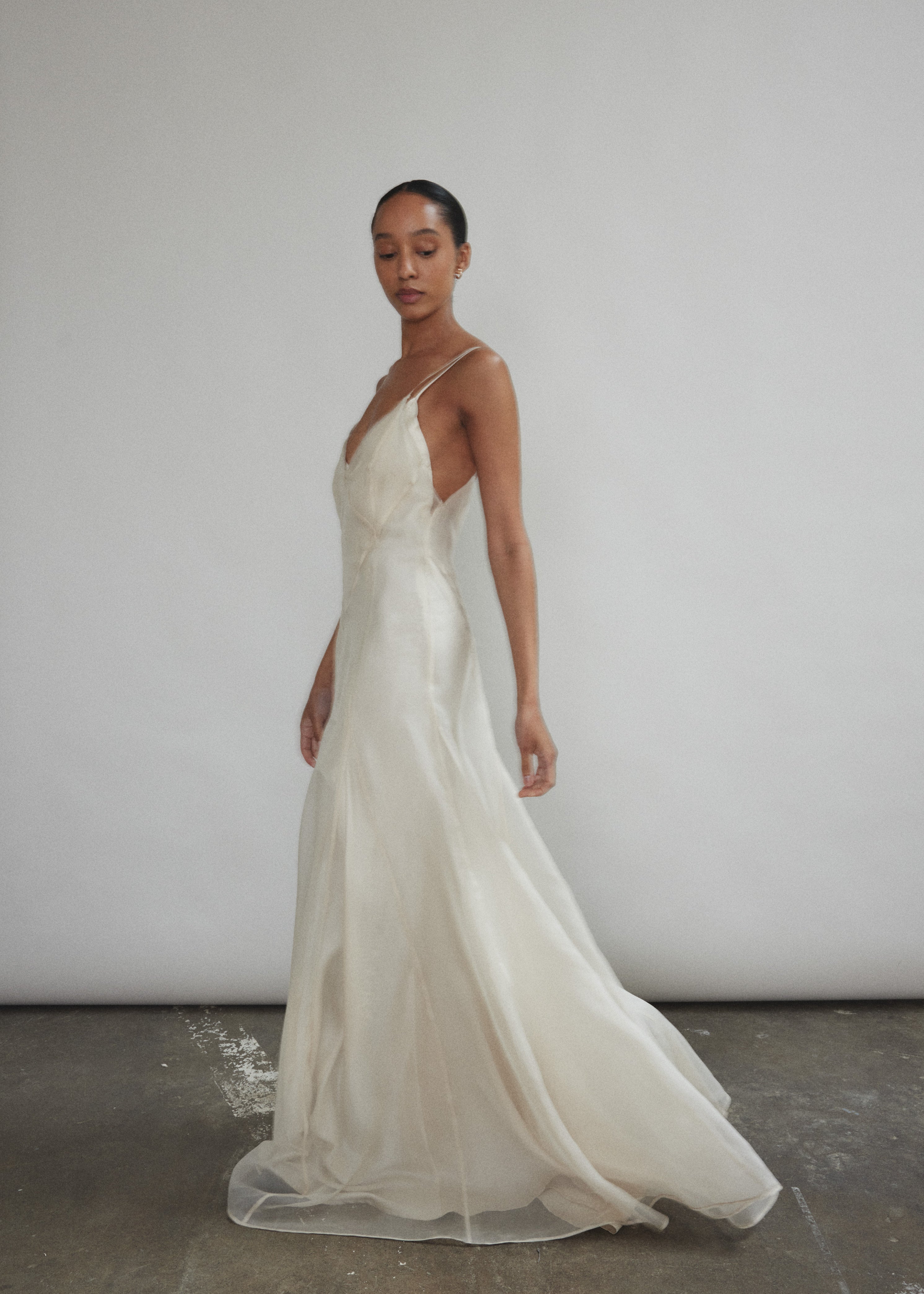 Kamperett Lalique Gown