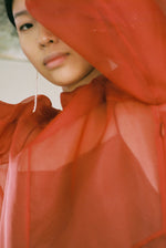 Alternate film image of the rust silk organza Kamperett Meiere Gown.